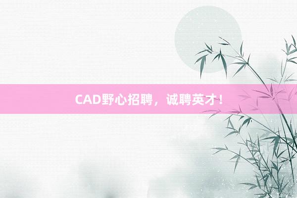 CAD野心招聘，诚聘英才！
