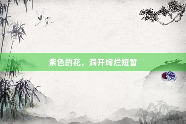 紫色的花，洞开绚烂短暂