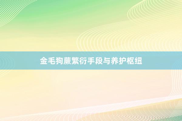 金毛狗蕨繁衍手段与养护枢纽